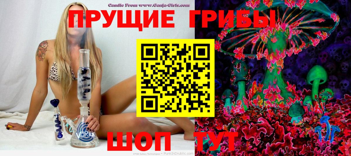 Галлюциногенные грибы Psilocybe  Вход с VPN  Кисловодск  Галлюциногенные грибы мухоморы 